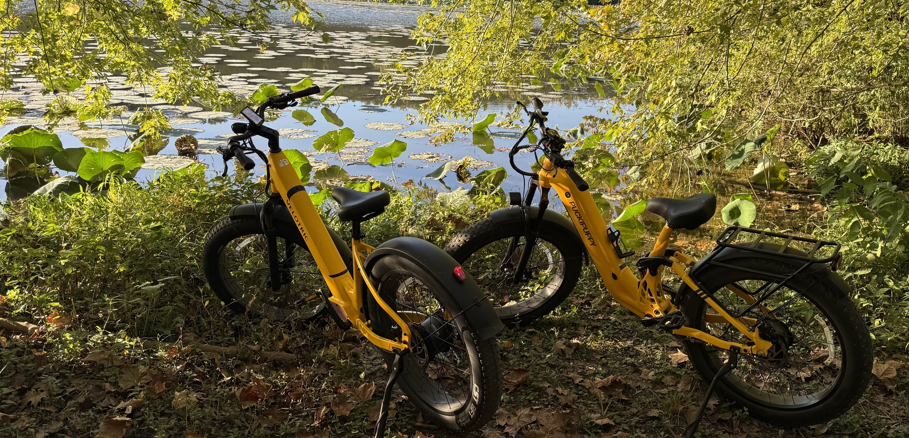 Bumble Bikes